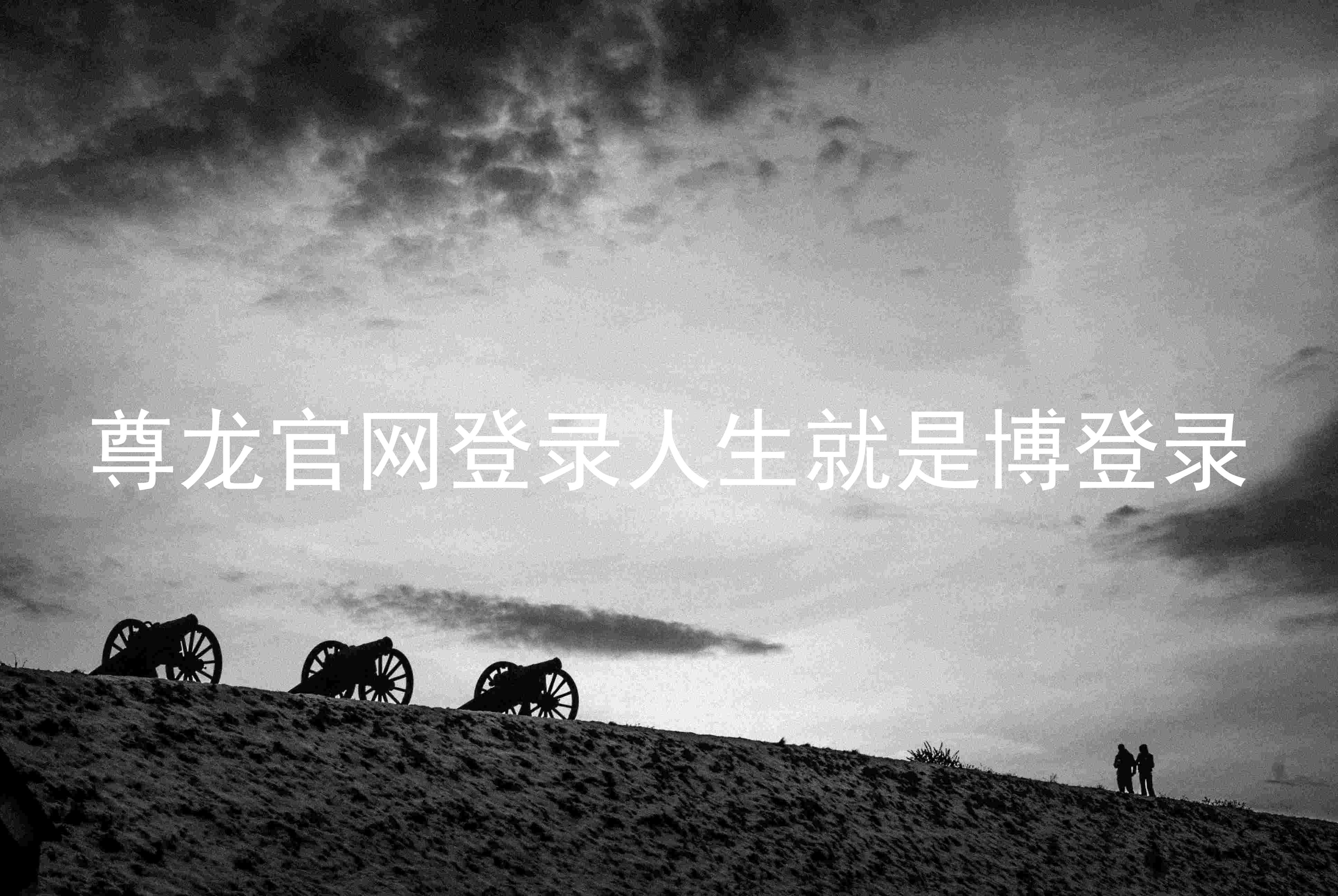 尊龙官网登录人生就是博登录