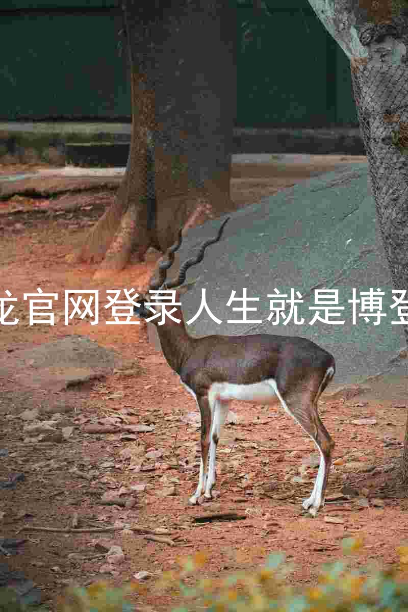 尊龙官网登录人生就是博登录