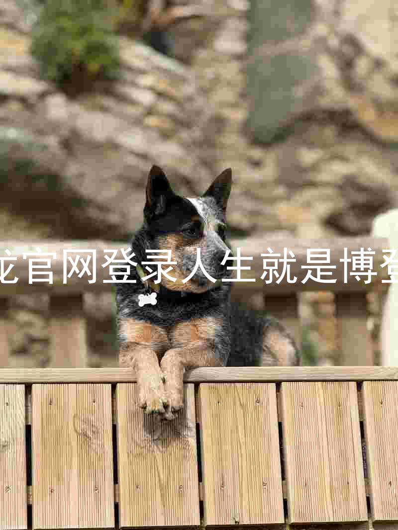 尊龙官网登录人生就是博登录