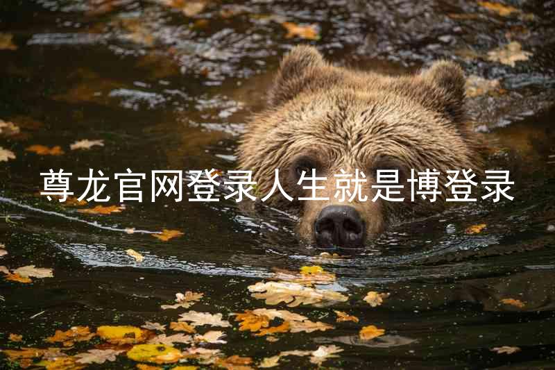 尊龙官网登录人生就是博登录
